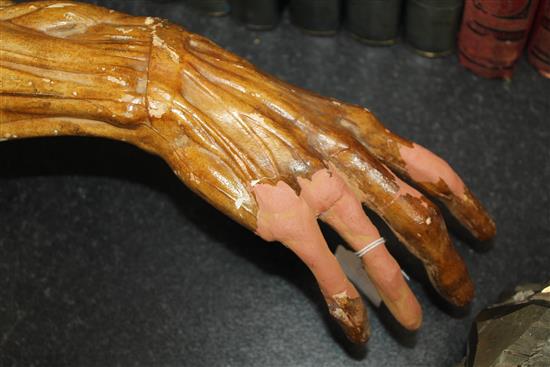 A plaster anatomical arm, 24.5in.